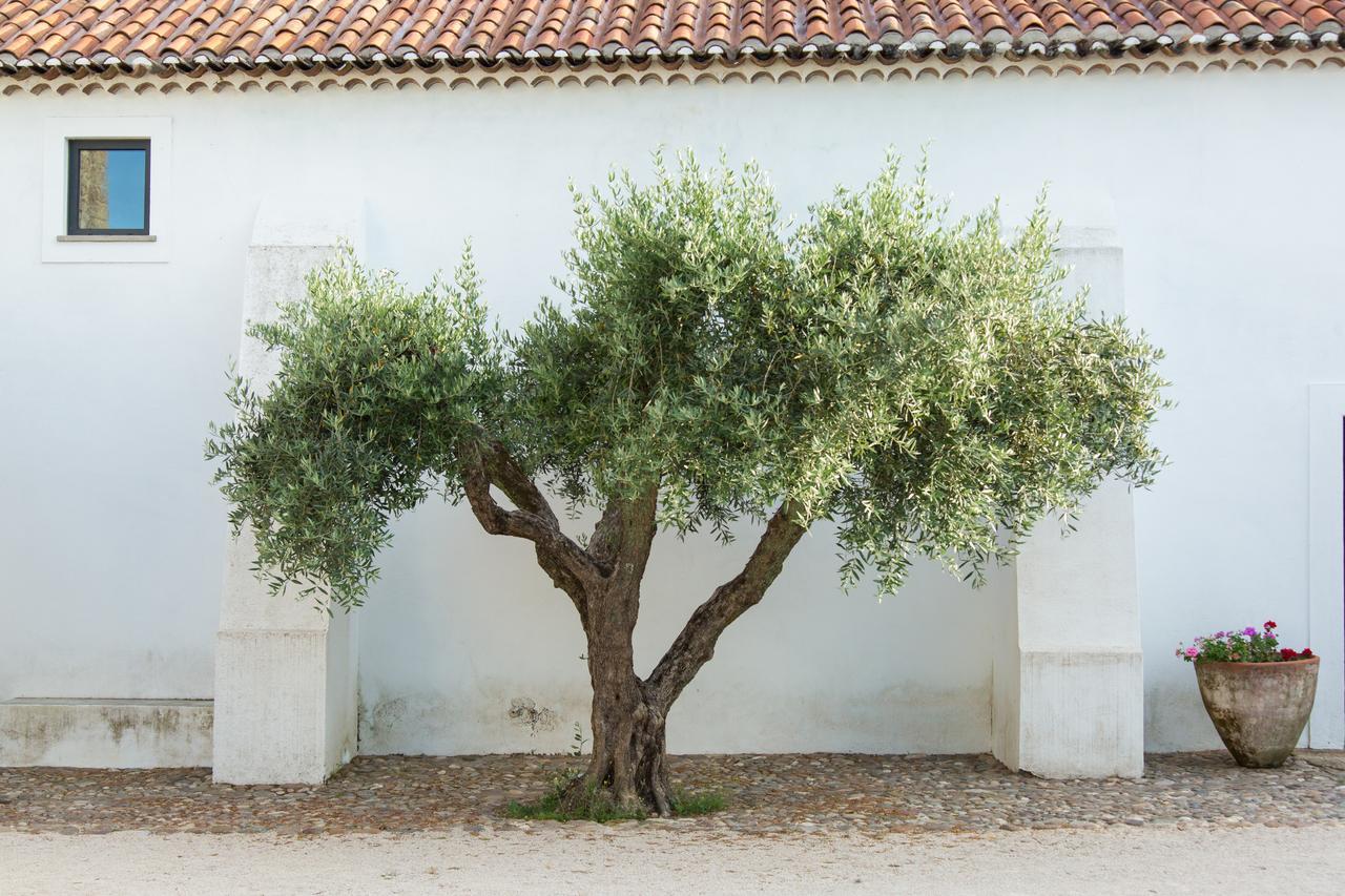 Herdade Da Maxuqueira Gaviao Exterior photo